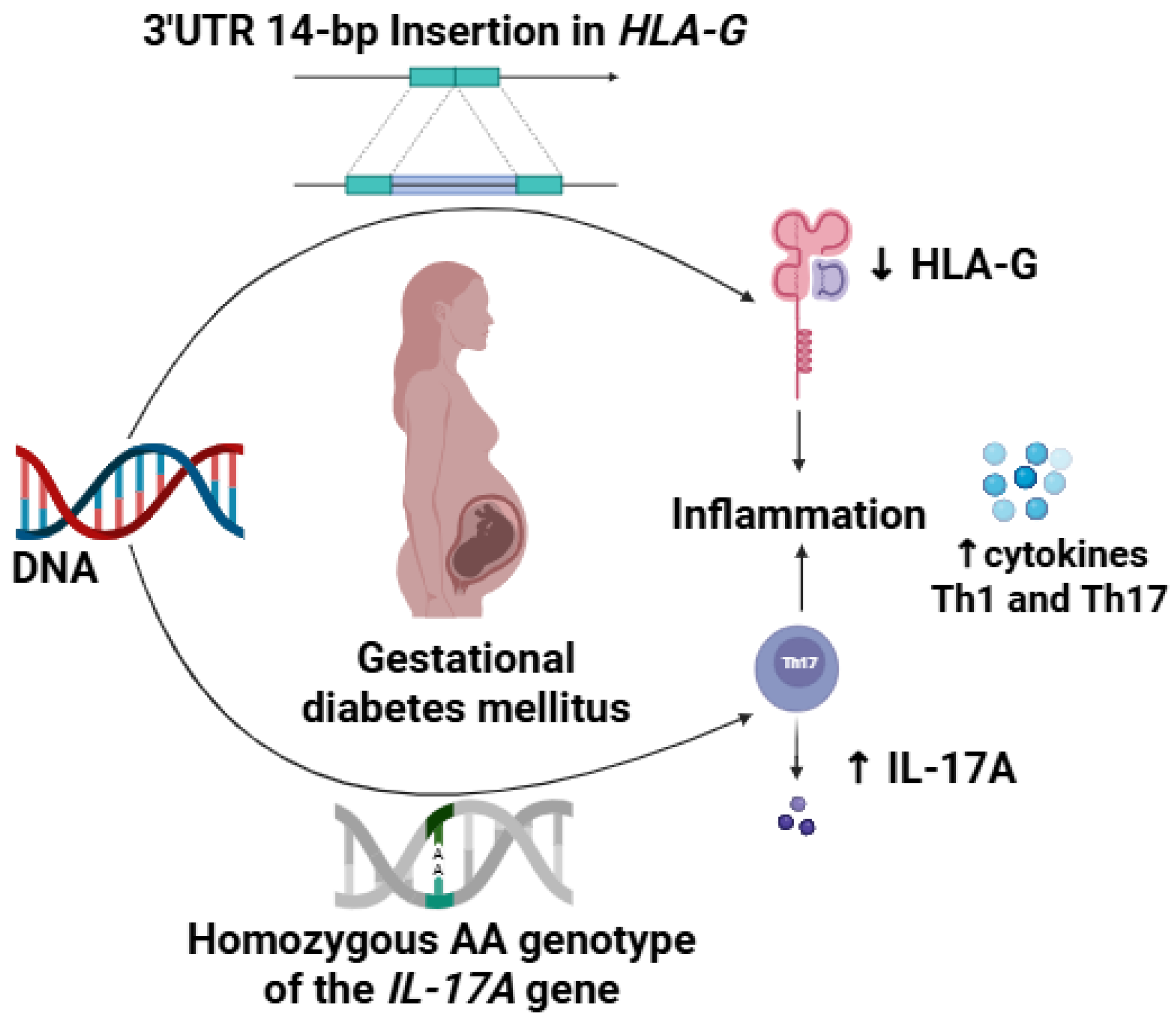 Ijerph 22 00327 g001