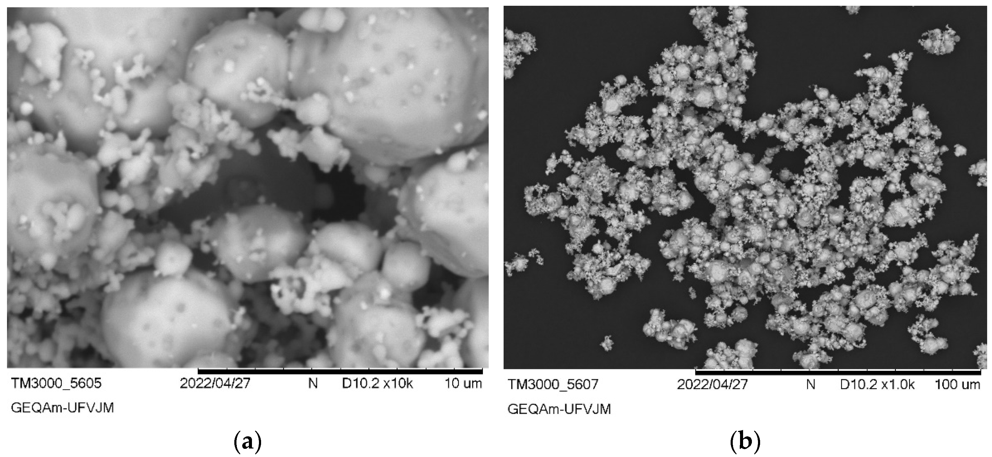 Ijerph 22 00334 g003