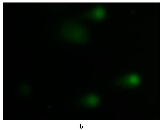 Ijerph 22 00347 g007