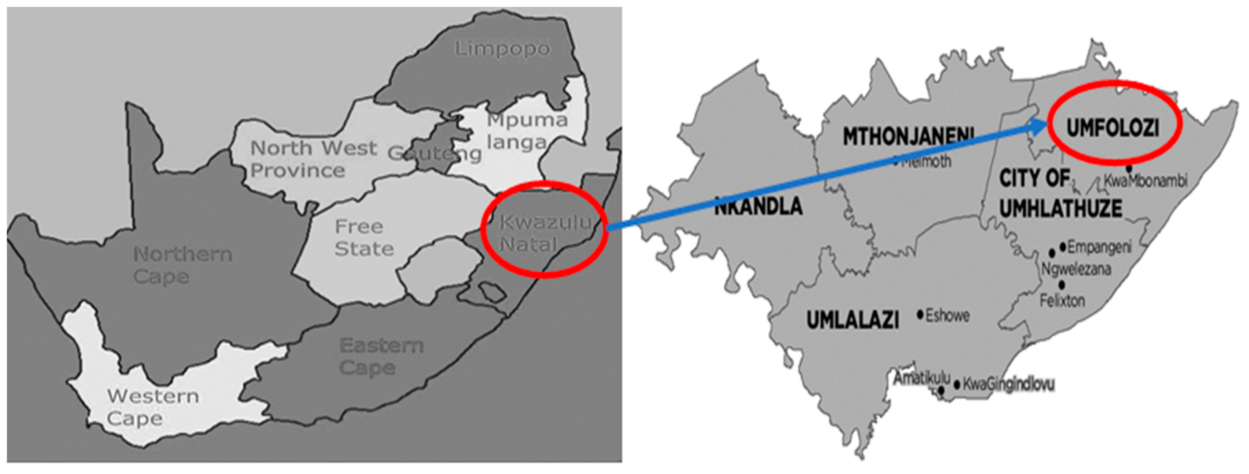 Ijerph 22 00360 g001