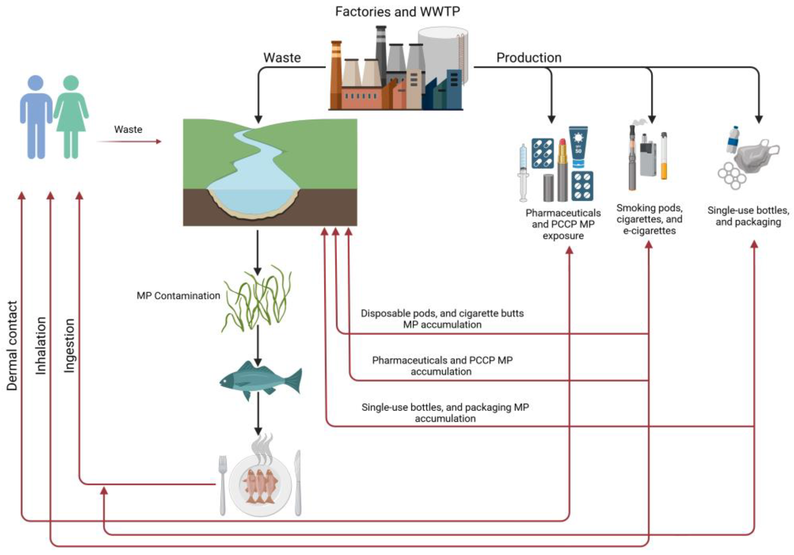 Ijerph 22 00380 g001