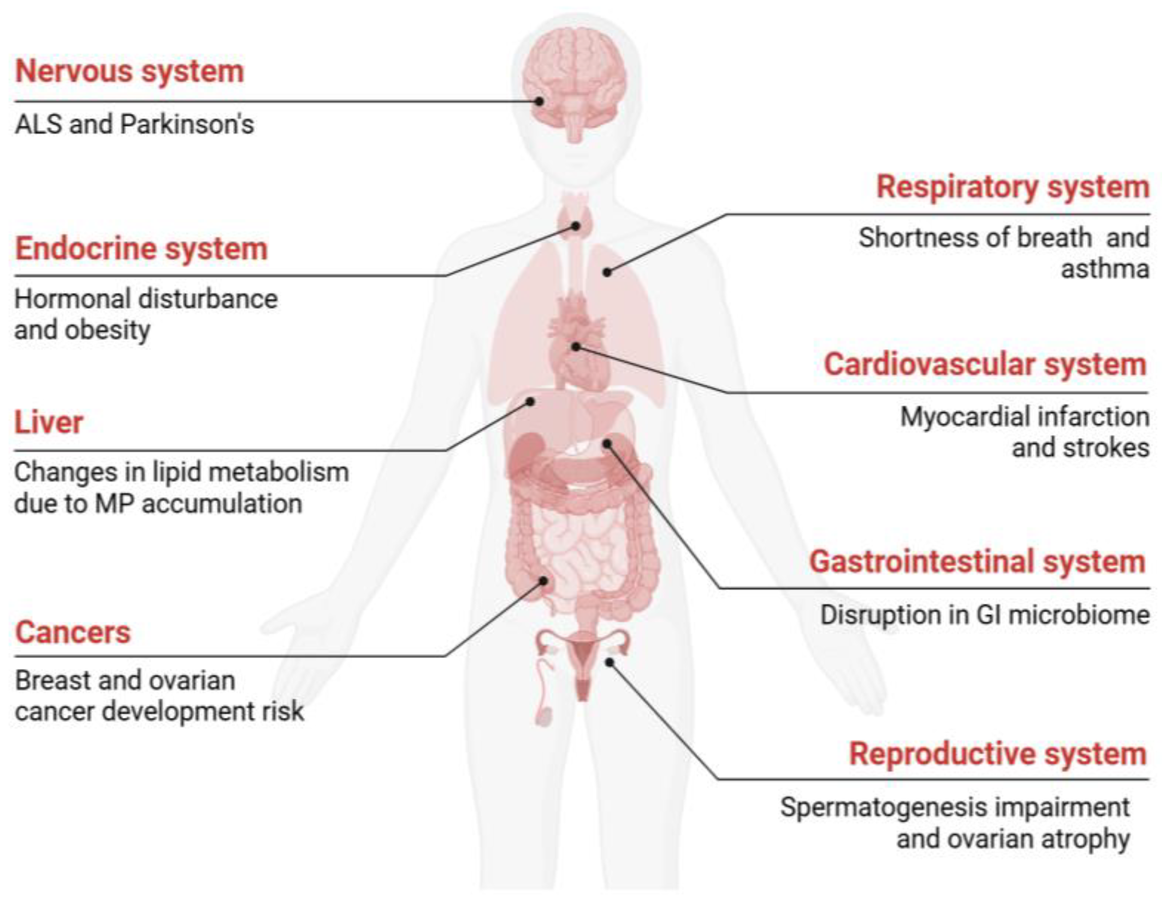 Ijerph 22 00380 g002