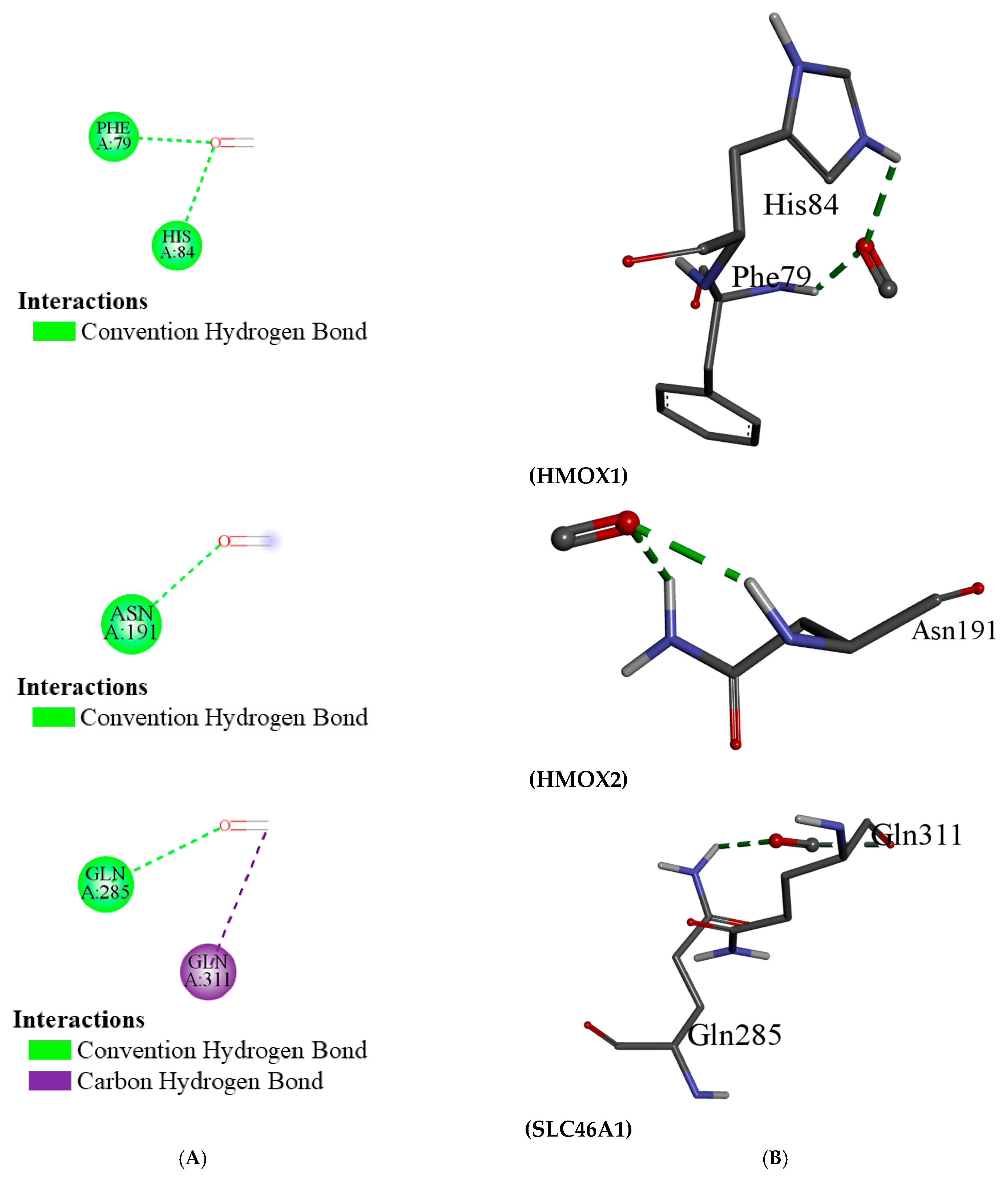 Ijerph 22 00418 g010c