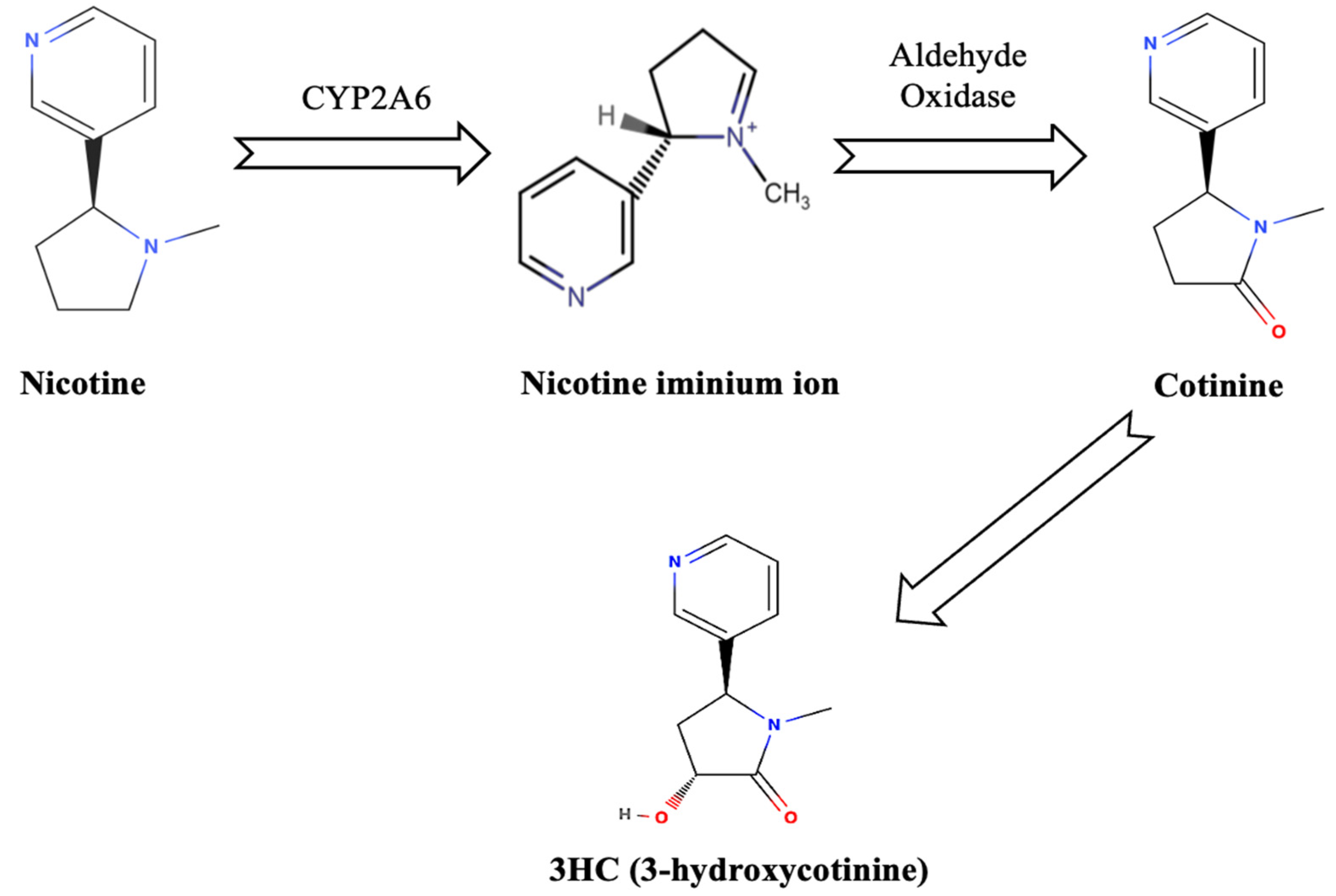 Ijerph 22 00621 g001