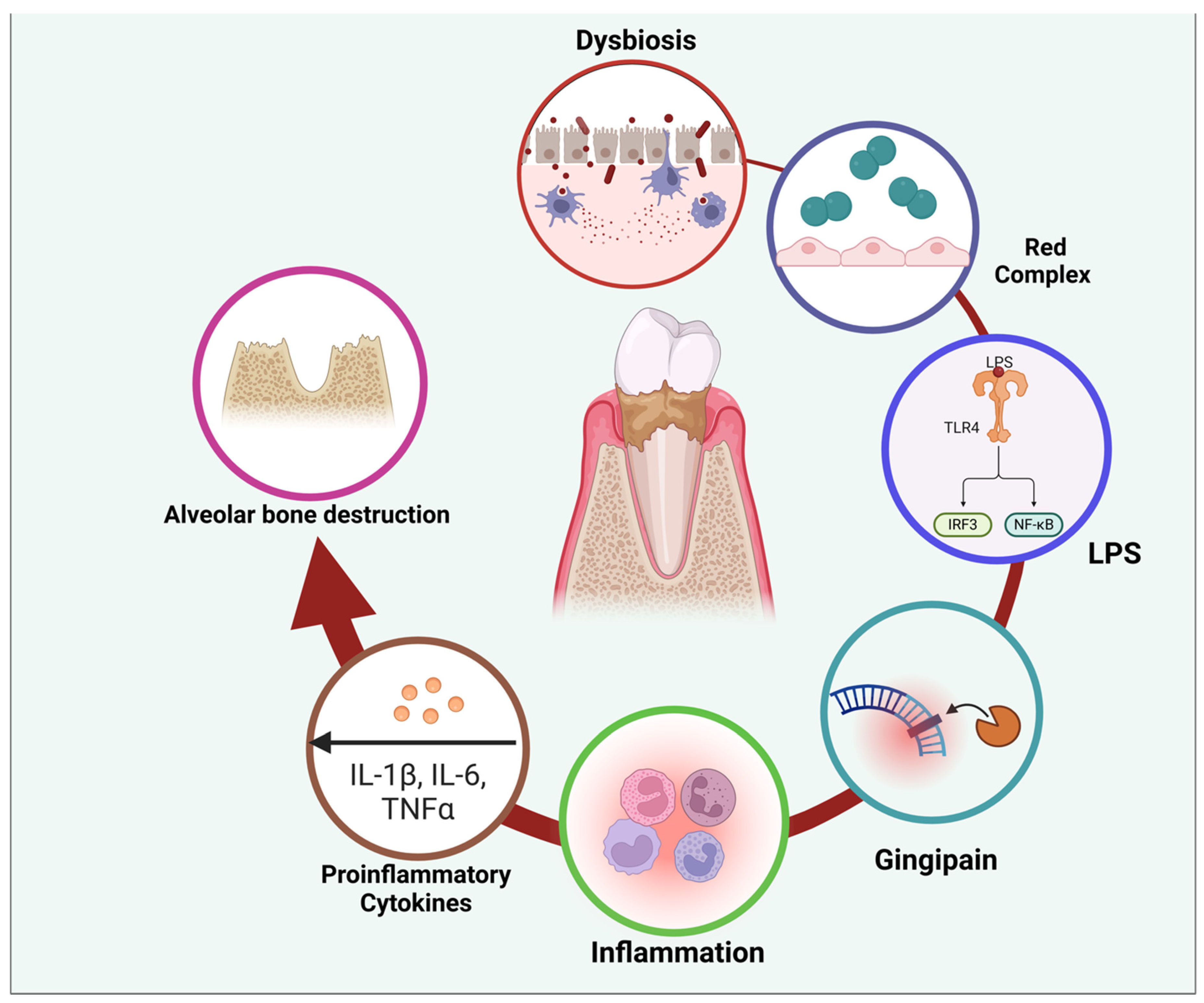 Ijerph 22 00624 g004