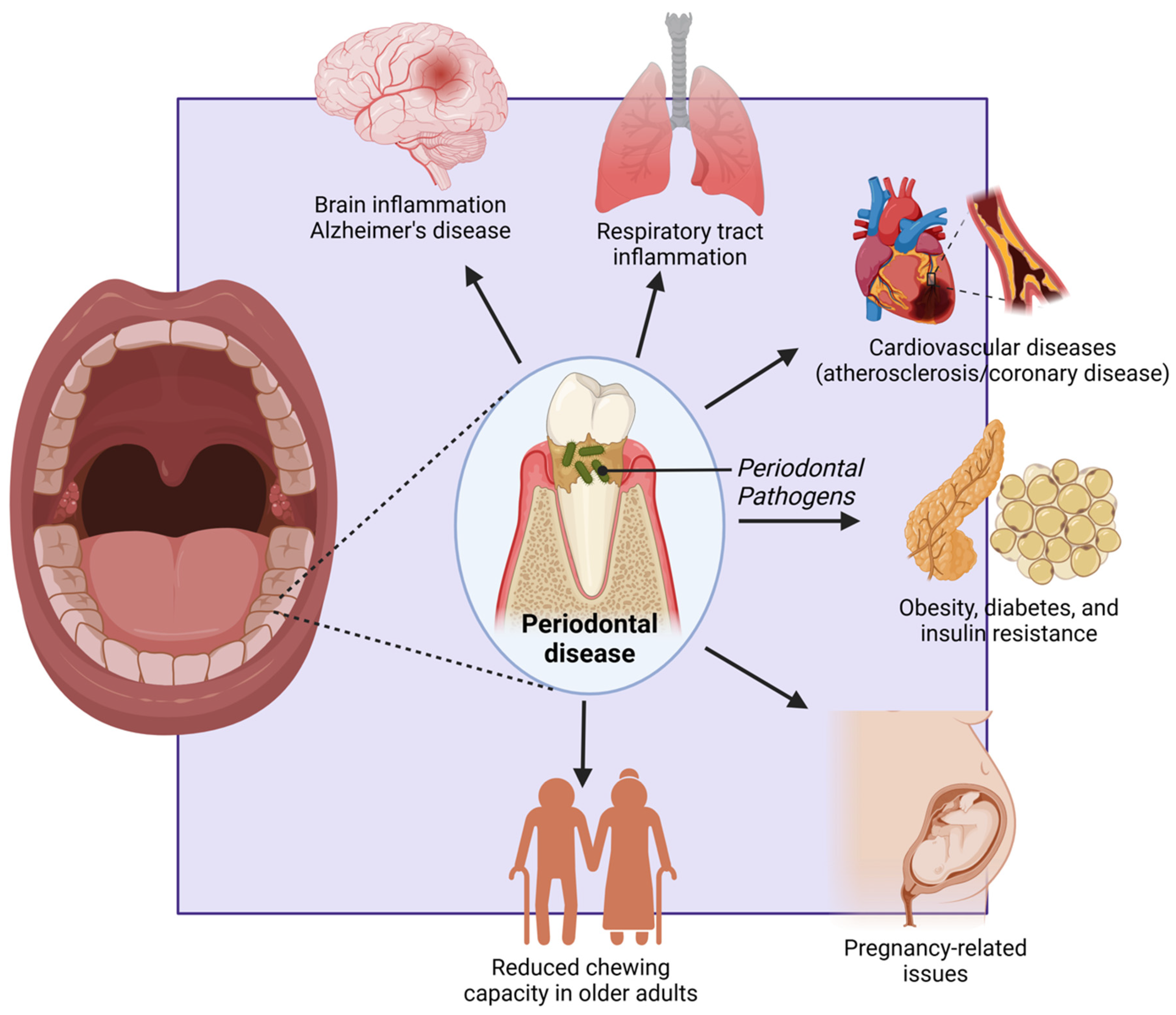 Ijerph 22 00624 g006