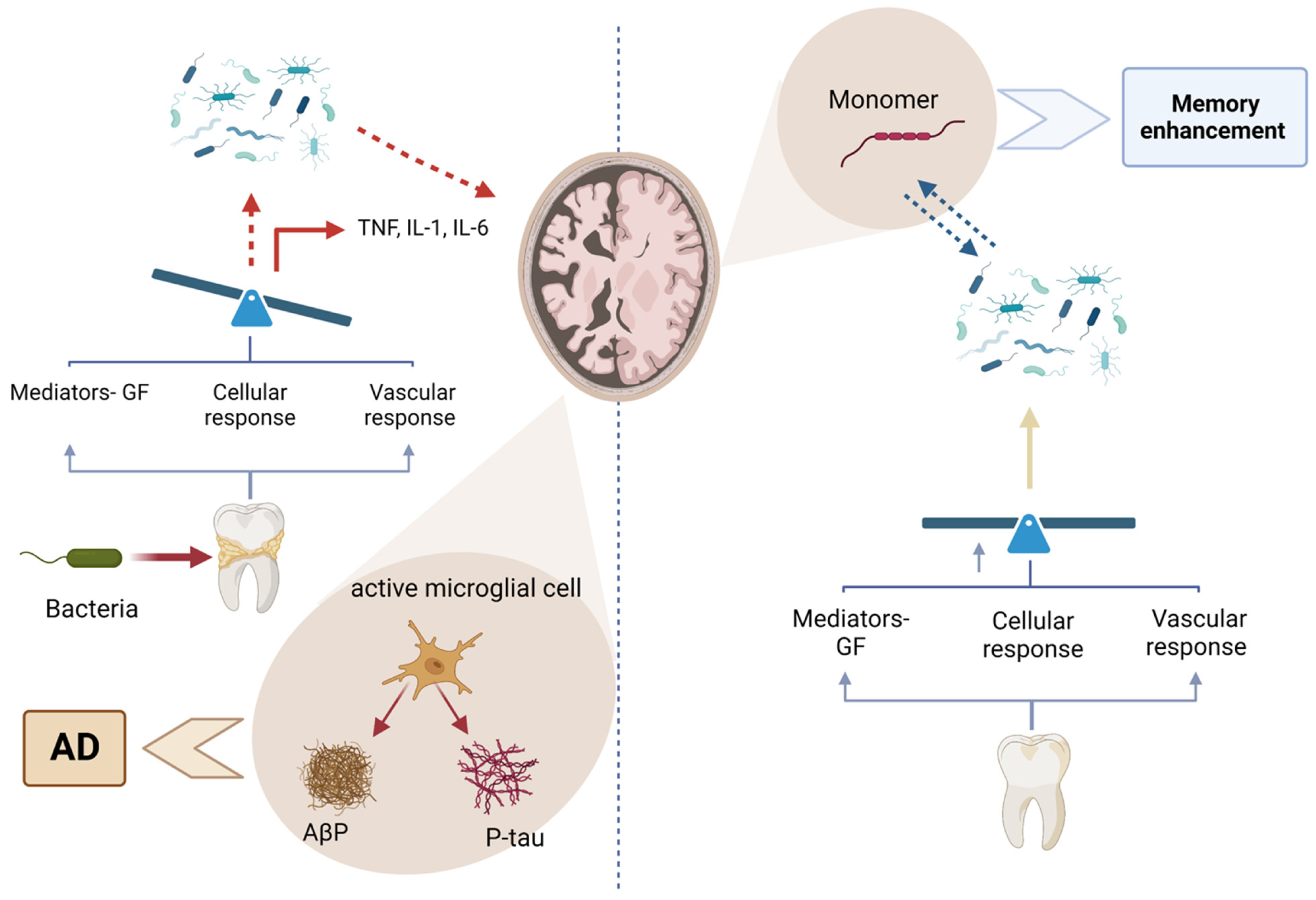 Ijerph 22 00624 g010