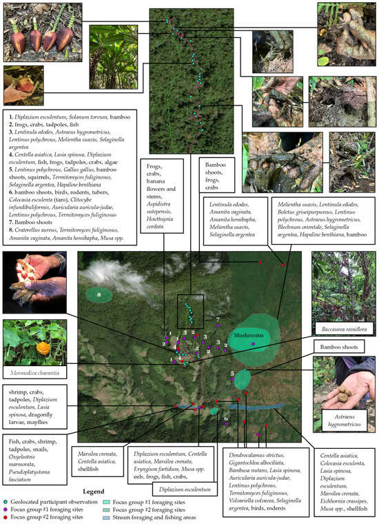 Ijerph 22 00711 g004