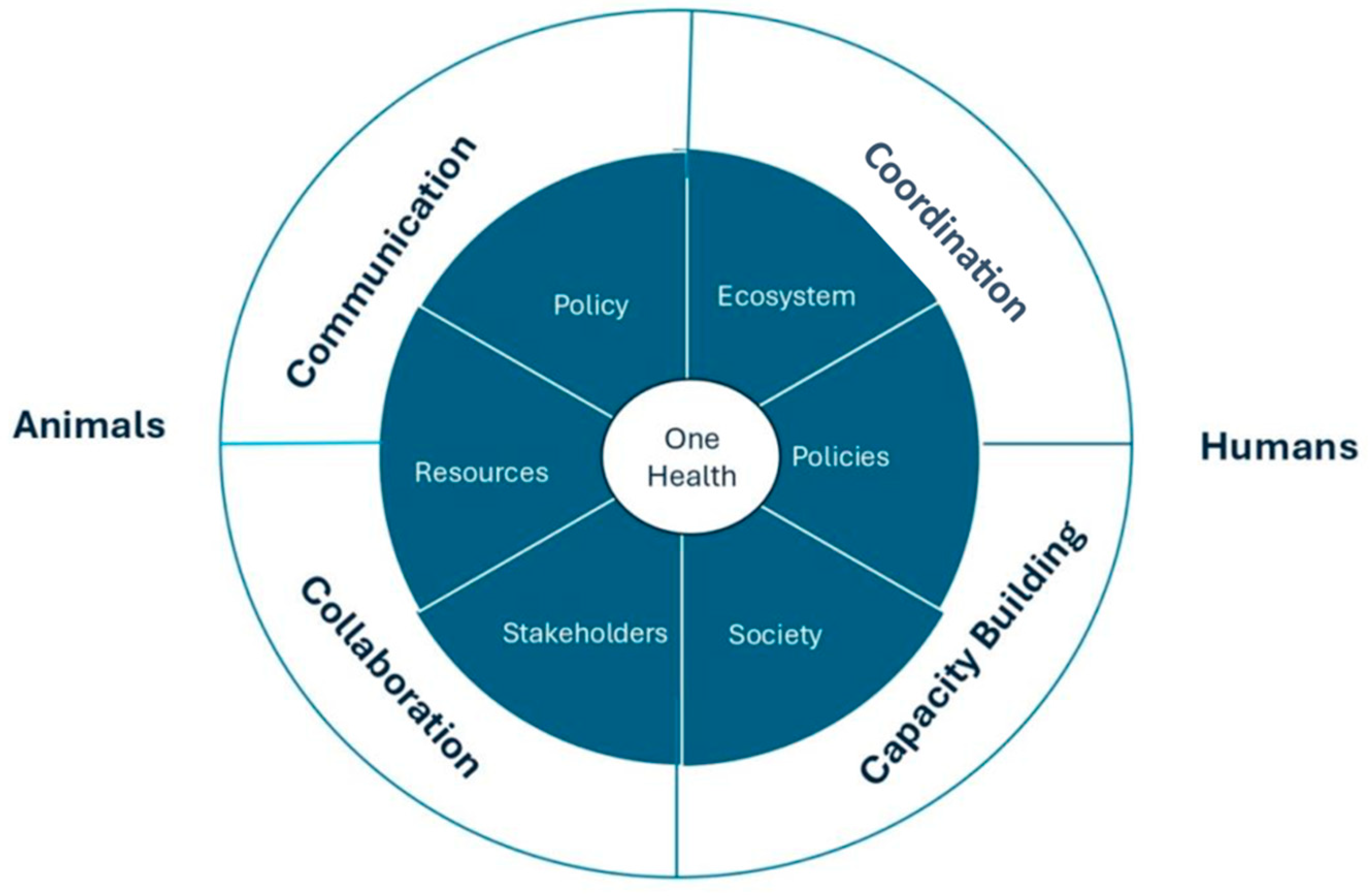 Ijerph 22 00883 g002