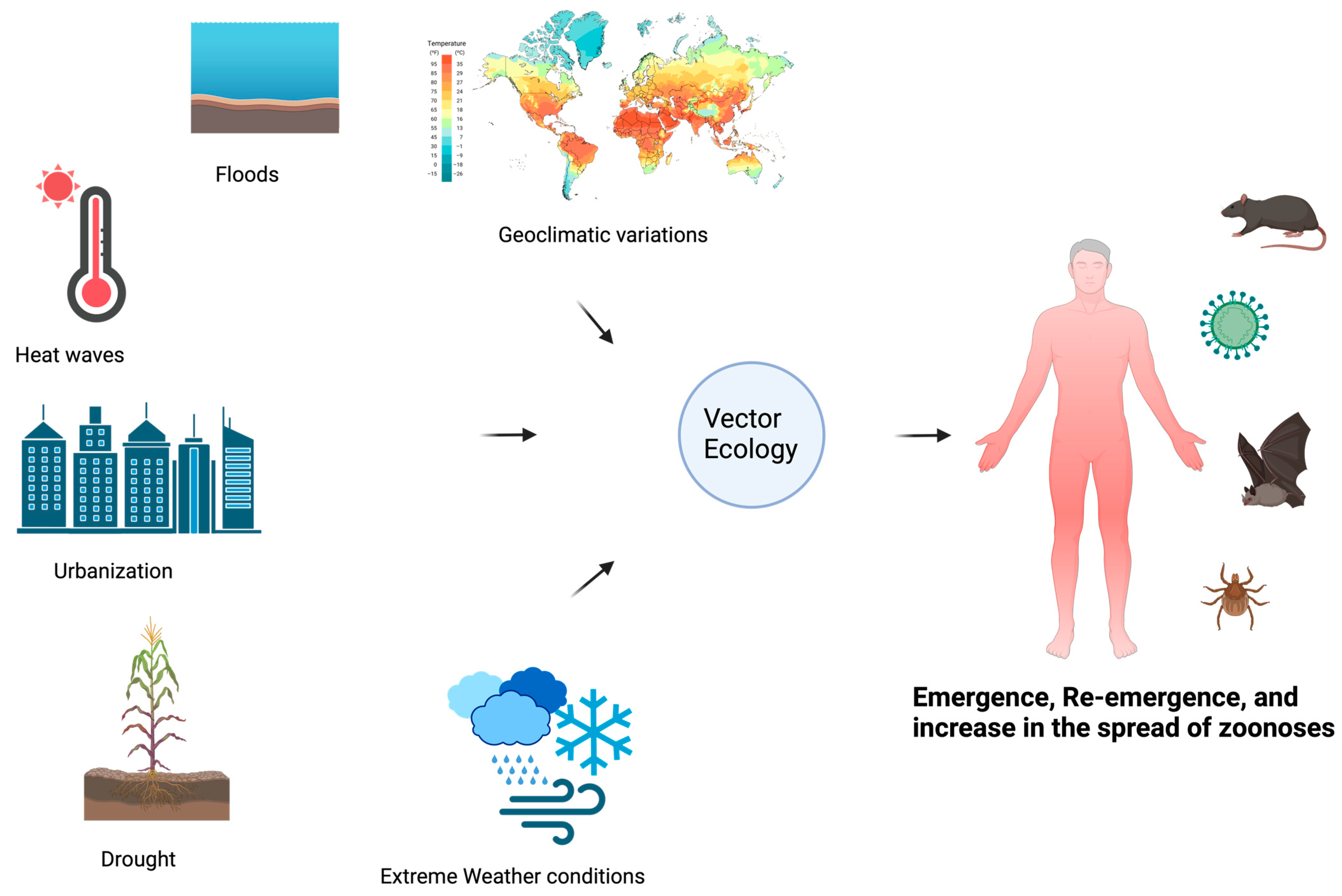 Ijerph 22 00883 g005