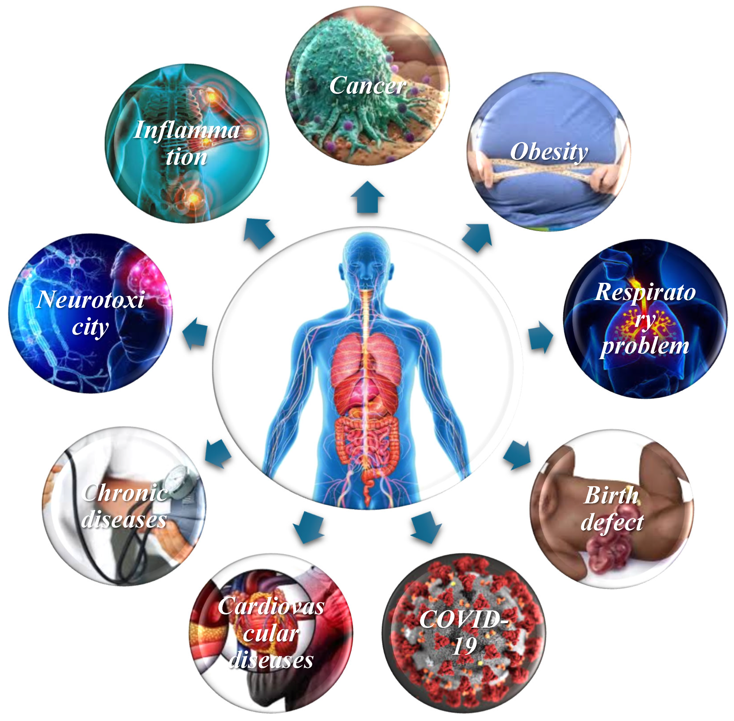 Ijerph 22 00889 g003