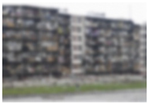 Ijerph 22 00988 i004