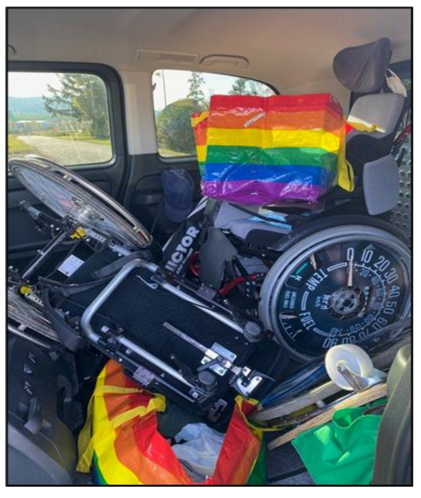 Ijerph 22 01297 g001