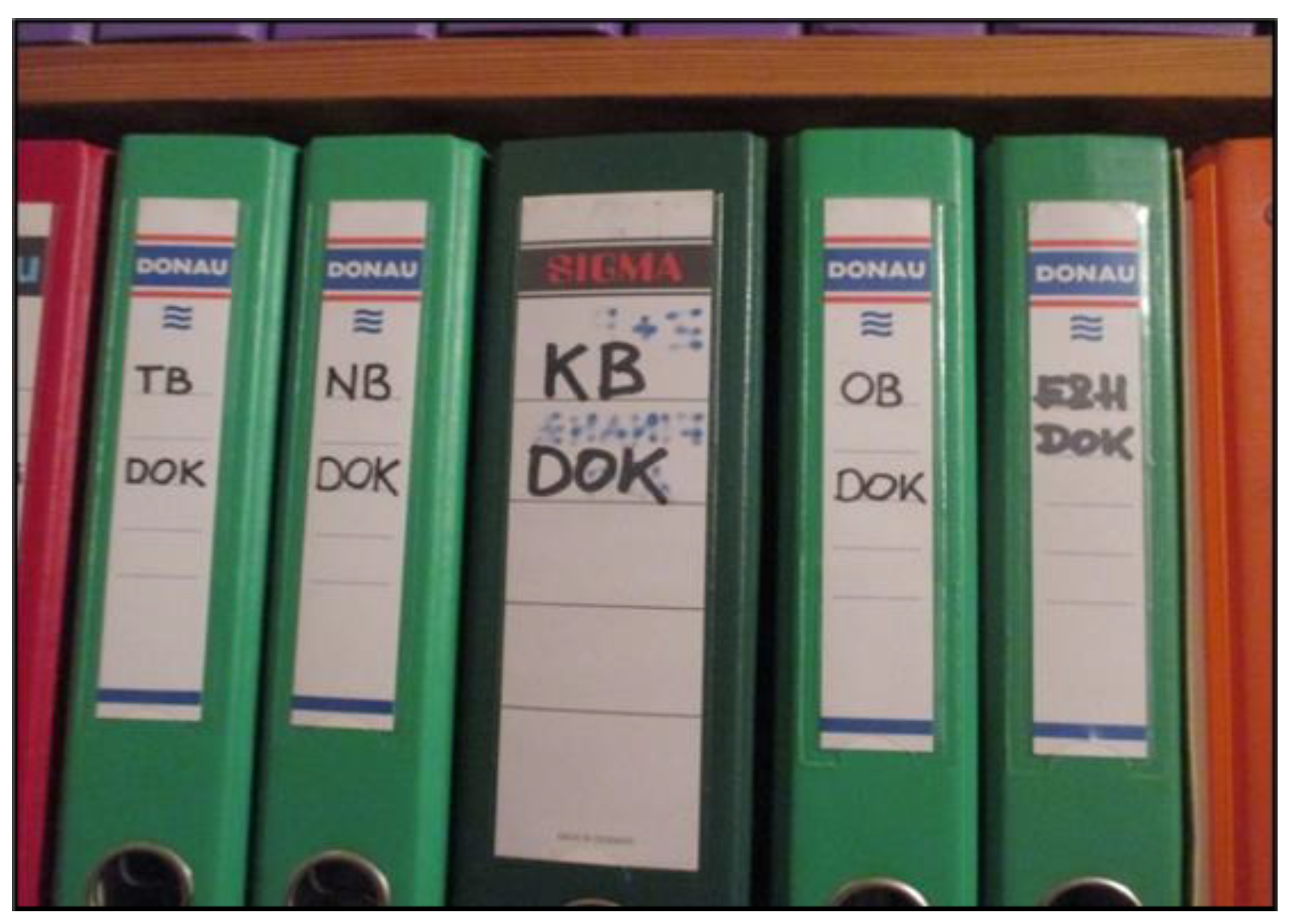 Ijerph 22 01297 g006