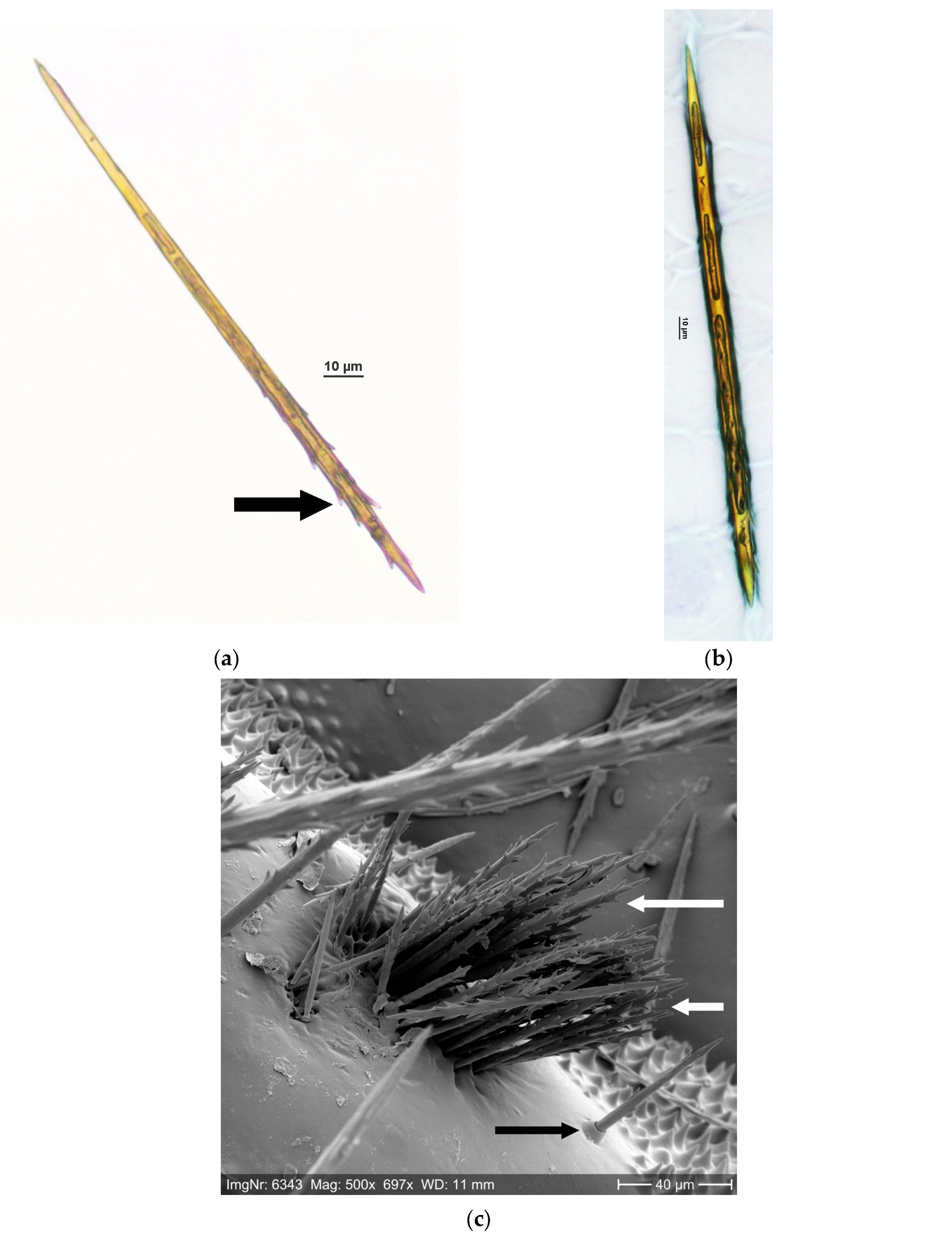 Ijerph 22 01361 g001a Ijerph 22 01361 g001a