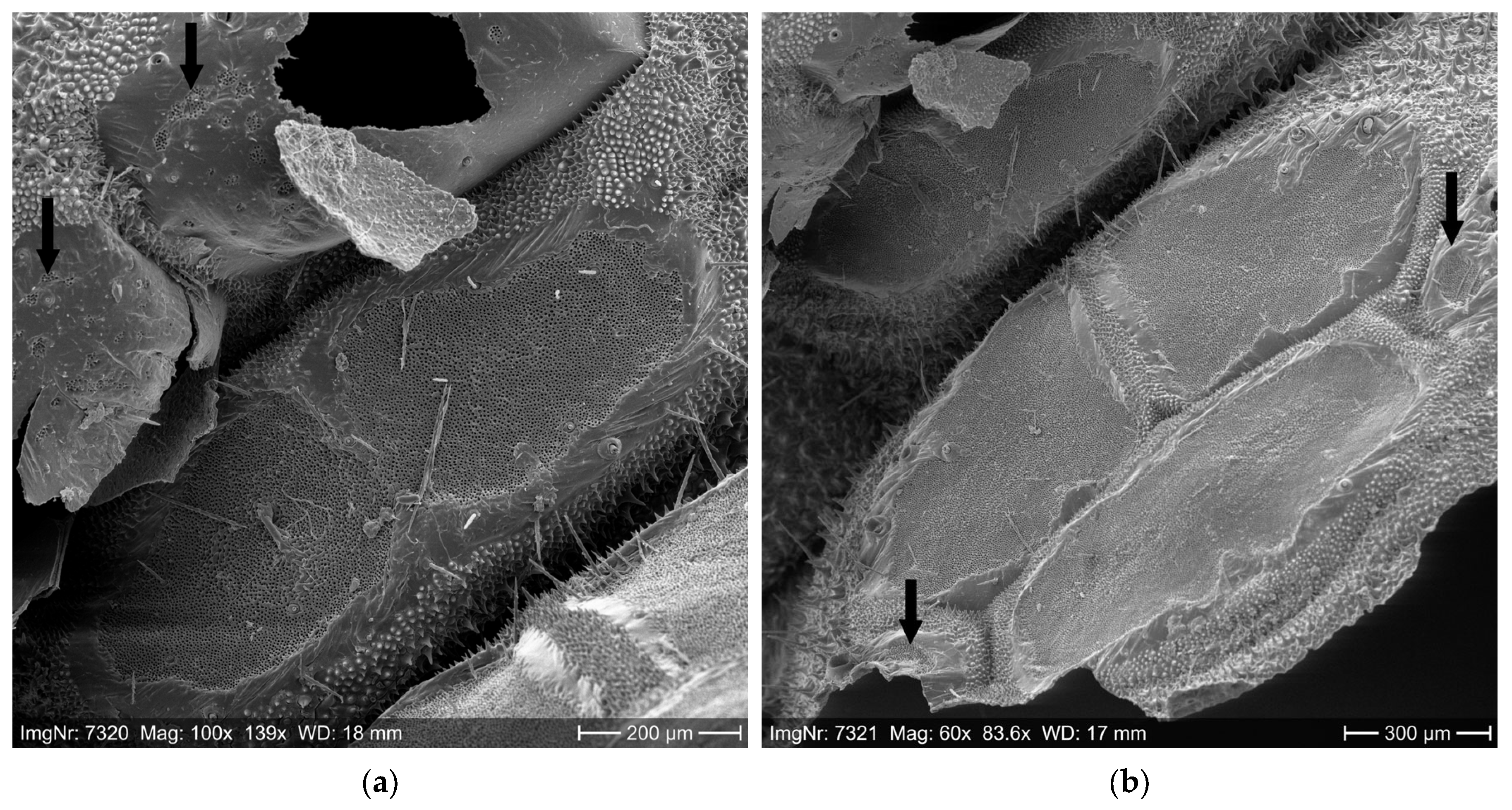 Ijerph 22 01361 g004a Ijerph 22 01361 g004a