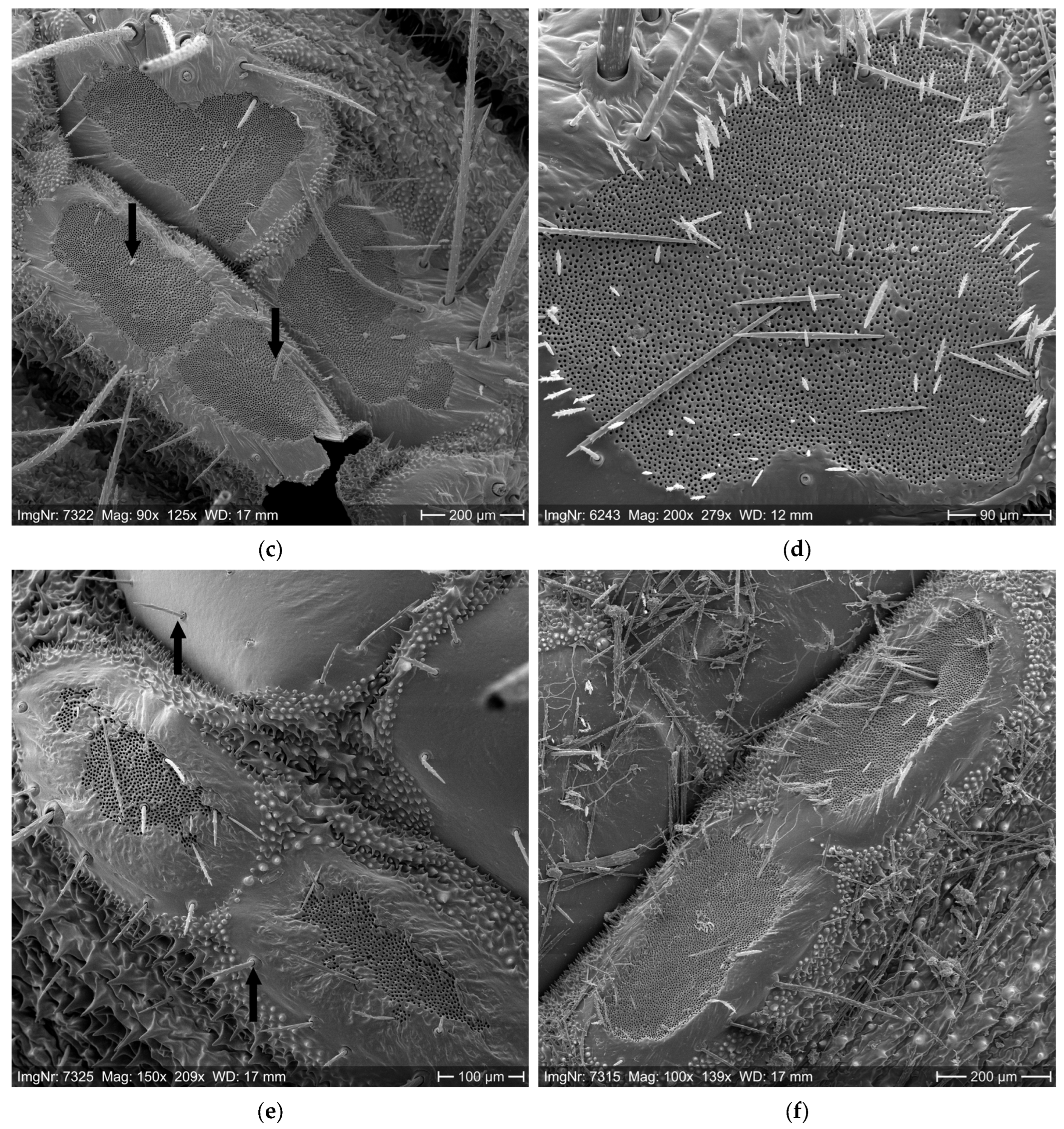 Ijerph 22 01361 g004b Ijerph 22 01361 g004b