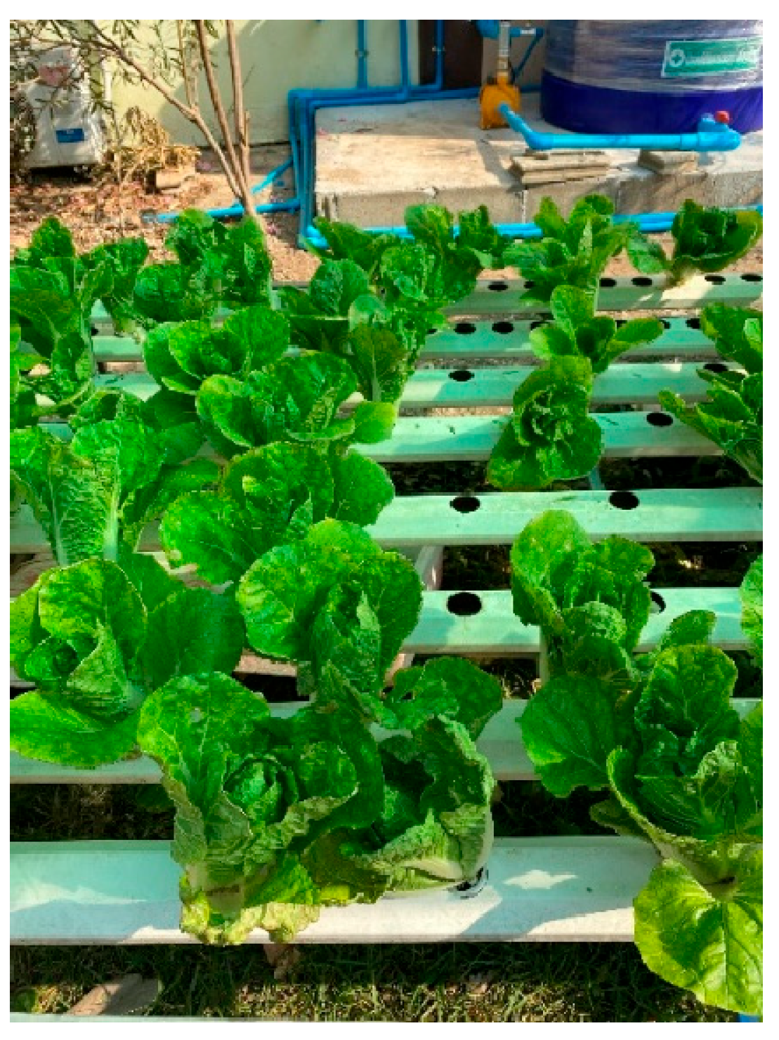 Ijerph 22 01438 g002