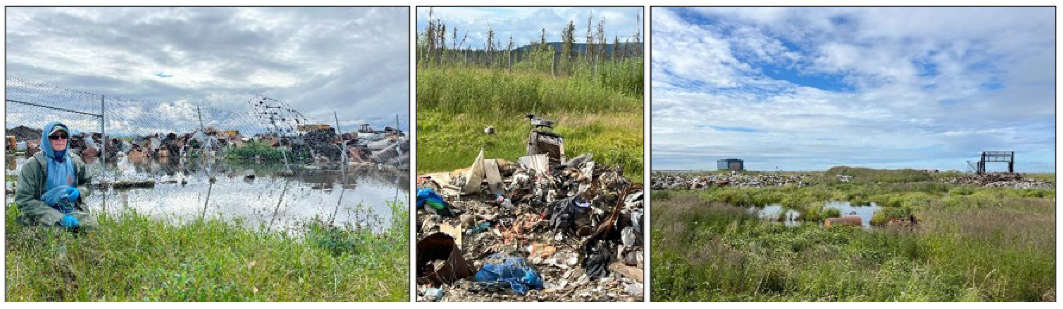 Ijerph 23 00045 g001