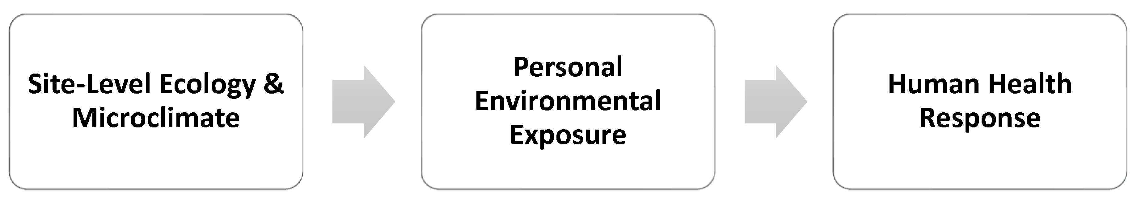 Ijerph 23 00365 g004