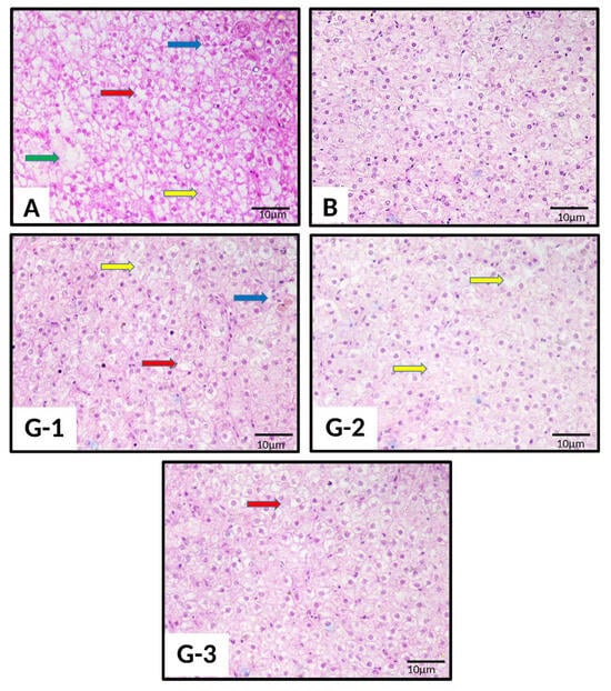 Ijerph 23 01310 g003