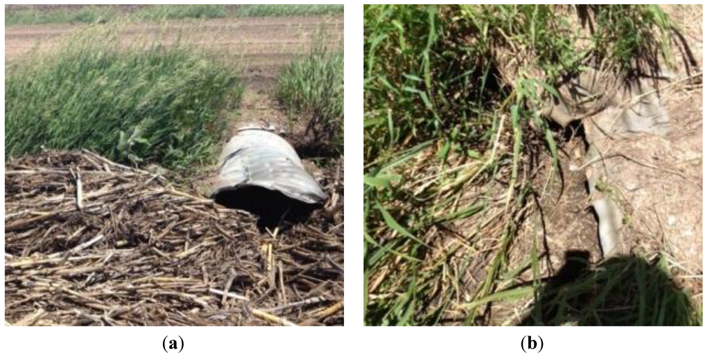 Ijgi 02 01136 g006 1024