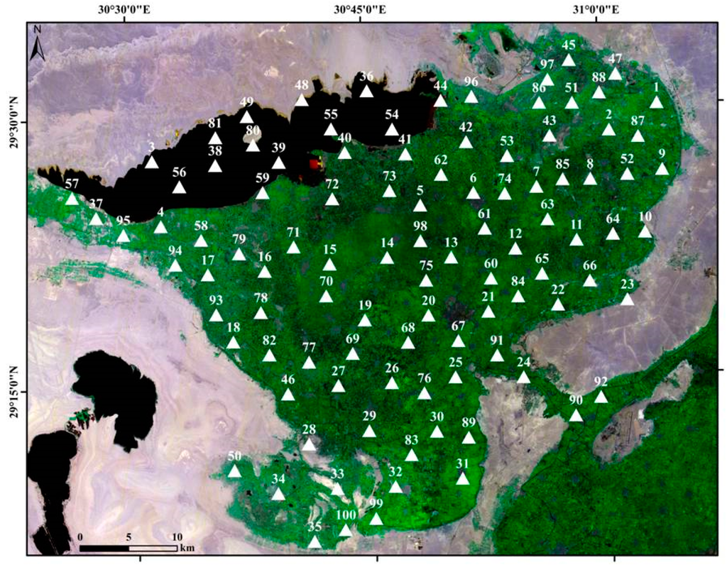 Ijgi 04 00677 g005 1024