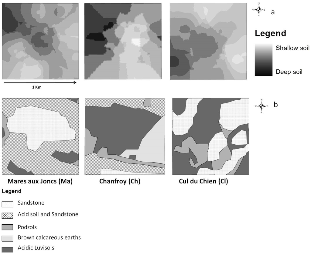 Ijgi 04 00957 g002 1024