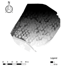 Ijgi 07 00109 i001 Ijgi 07 00109 i001