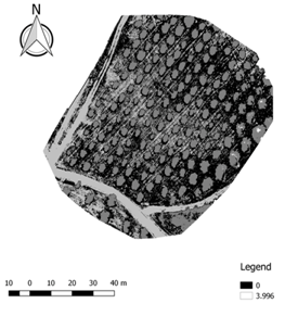 Ijgi 07 00109 i004 Ijgi 07 00109 i004