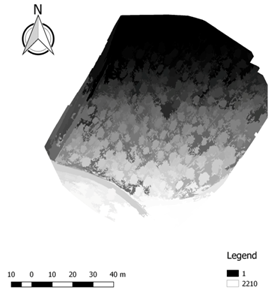 Ijgi 07 00109 i005 Ijgi 07 00109 i005