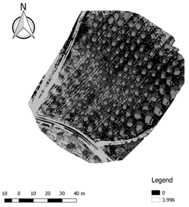 Ijgi 07 00109 i006 Ijgi 07 00109 i006