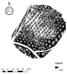 Ijgi 07 00109 i007 Ijgi 07 00109 i007