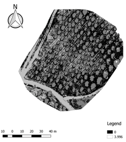 Ijgi 07 00109 i008 Ijgi 07 00109 i008