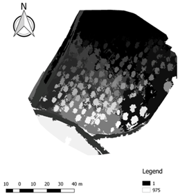 Ijgi 07 00109 i009 Ijgi 07 00109 i009