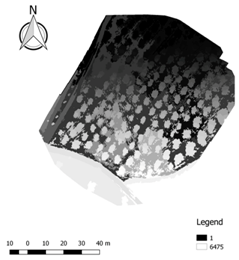 Ijgi 07 00109 i017 Ijgi 07 00109 i017