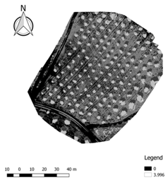 Ijgi 07 00109 i018 Ijgi 07 00109 i018