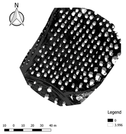 Ijgi 07 00109 i022 Ijgi 07 00109 i022