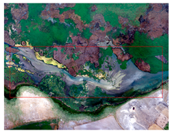 Ijgi 07 00411 i002 Ijgi 07 00411 i002