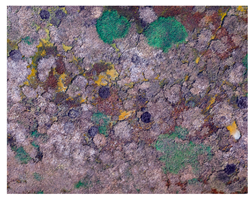 Ijgi 07 00411 i003 Ijgi 07 00411 i003