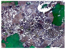 Ijgi 07 00411 i006 Ijgi 07 00411 i006