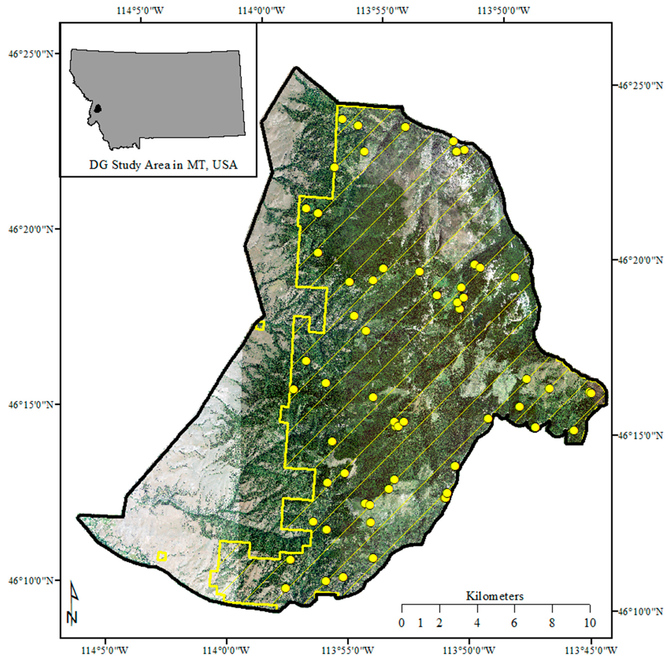 Ijgi 08 00024 g001