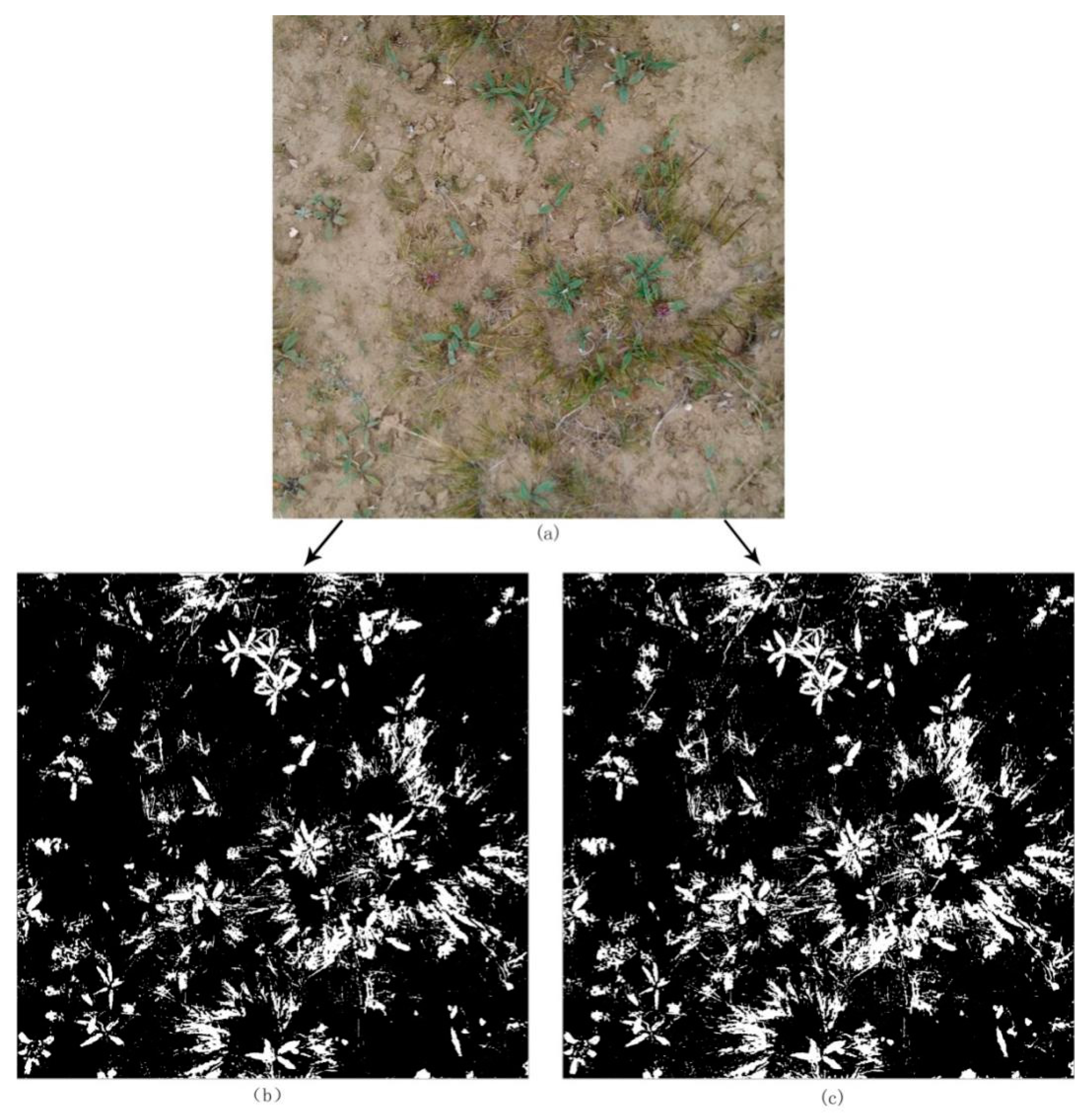 Ijgi 08 00497 g005 Ijgi 08 00497 g005