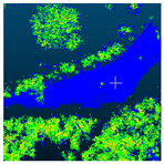 Ijgi 10 00184 i002 Ijgi 10 00184 i002