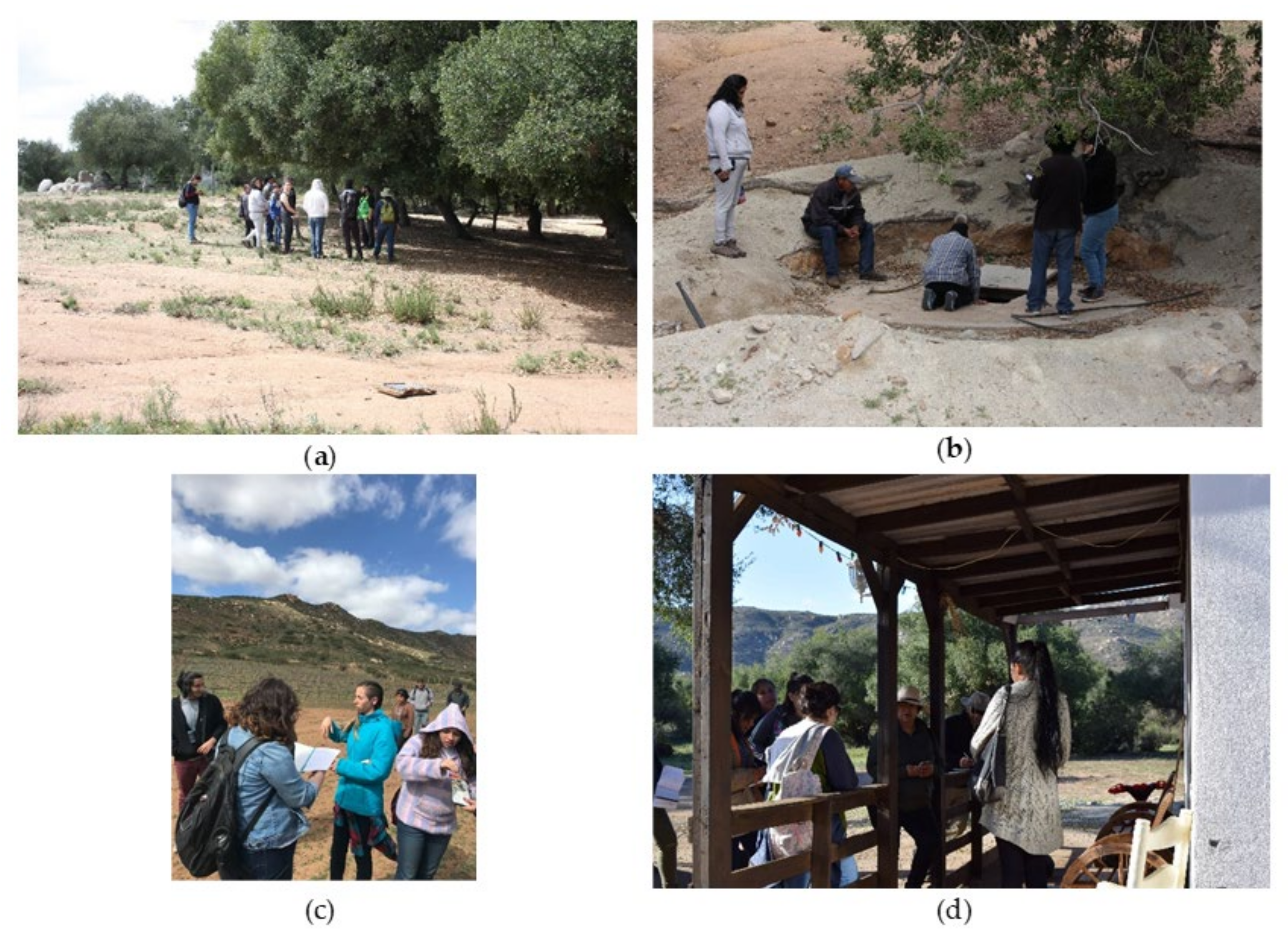 Ijgi 10 00206 g006 Ijgi 10 00206 g006