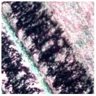 Ijgi 10 00236 i004 Ijgi 10 00236 i004