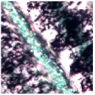 Ijgi 10 00236 i005 Ijgi 10 00236 i005