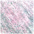 Ijgi 10 00236 i007 Ijgi 10 00236 i007