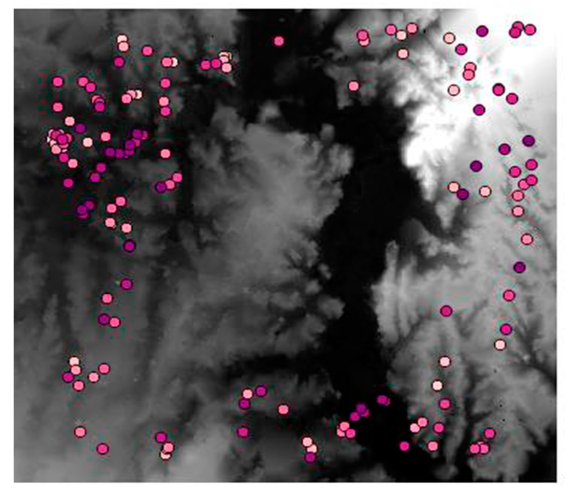 Ijgi 10 00360 g007 Ijgi 10 00360 g007
