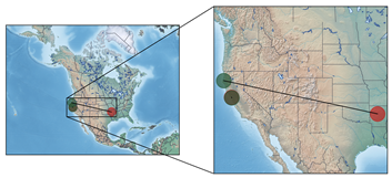 Ijgi 11 00028 i002 Ijgi 11 00028 i002